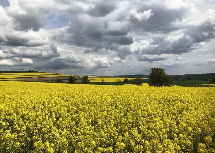 Apartamento Auf Dem Maifeld